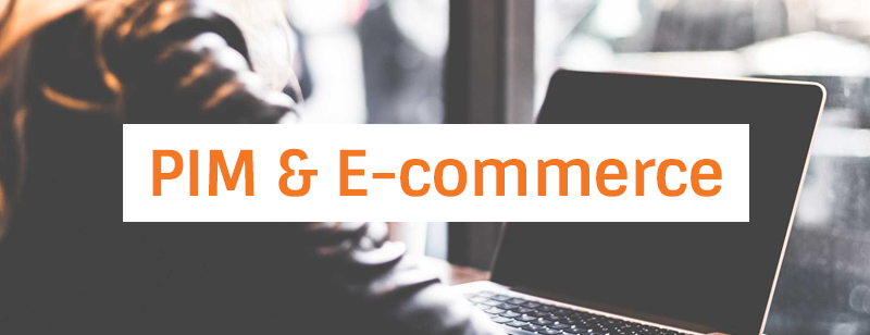 Use the PIM system for e-commerce purposes